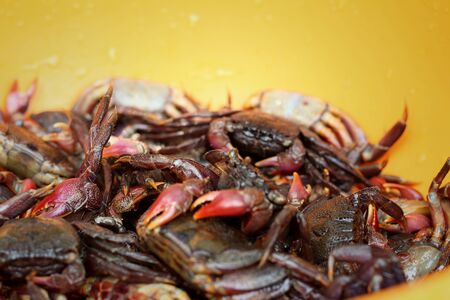 Fresh crab in yellow tray at the market.