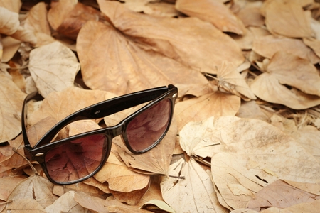 Sunglasses on a background of brown leaves.の写真素材