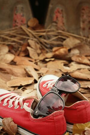 Red shoes with sunglasses on brown leaves background.の写真素材