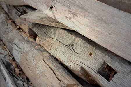 Background image of old wood from nature.の写真素材