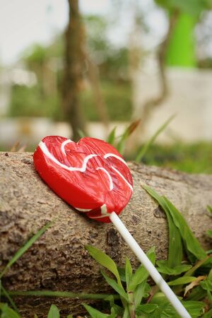 Candy valentines hearts on timber at the park.の写真素材