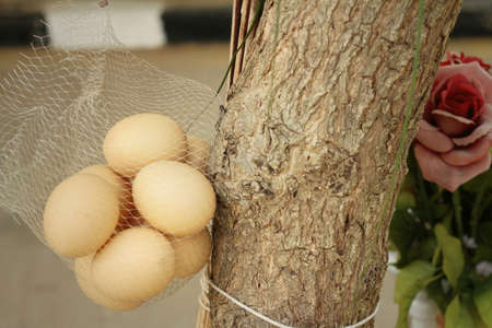 Eggs hanging on a tree at the park.