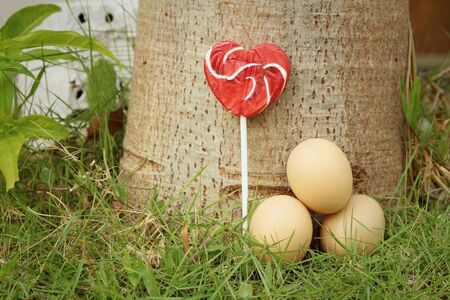 Eggs with candy on a green grass.