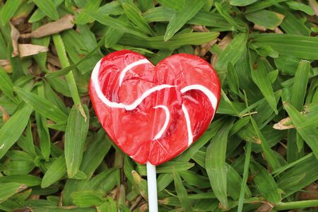 Candy valentines hearts on background of green grass.の写真素材