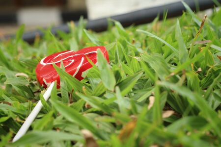 Candy valentines hearts on background of green grass.の写真素材