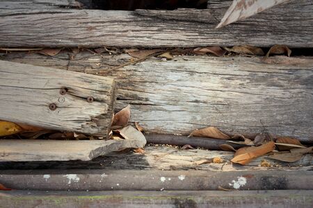 Background image of old wood from nature.の写真素材