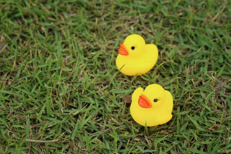 Yellow rubber duck on a background of green grass.