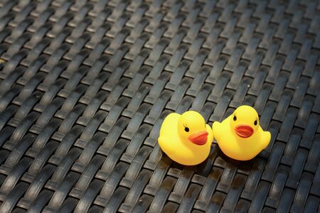 Yellow rubber duck on a background of black wooden.の写真素材