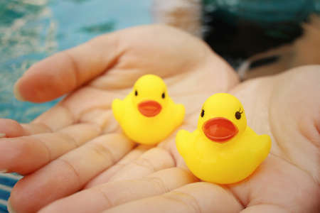 Yellow rubber duck in hands at swimming pool.の写真素材