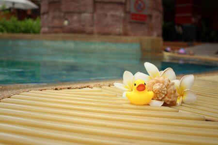 Yellow rubber duck with pluemeria flowers at swimming pool.