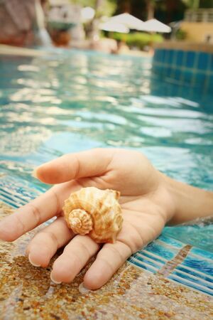 Conch in hand of woman at swimming pool.