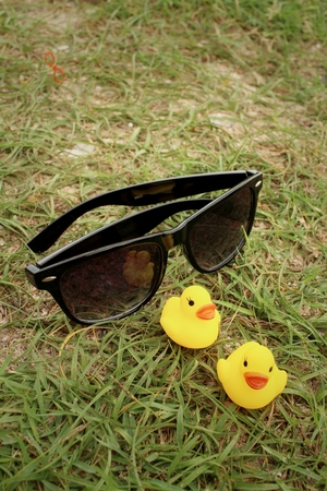 Sunglasses with yellow rubber duck on green grass .の写真素材