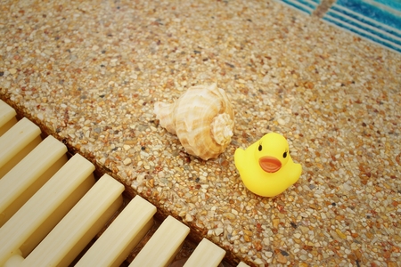 Yellow rubber duck with conch at swimming pool.の写真素材