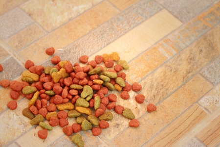 Cat food on the floor at the park.