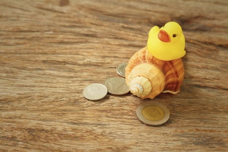 Yellow rubber duck , conch with money of Thai Bath.の写真素材