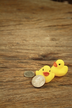 Yellow rubber duck with money of Thai Bath.の写真素材