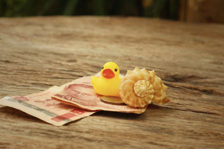 Yellow rubber duck , conch with money of Thai Bath.の写真素材