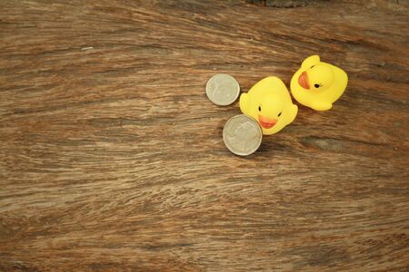 Yellow rubber duck with money of Thai Bath.の写真素材