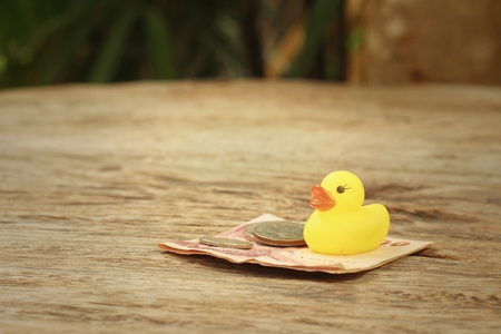 Yellow rubber duck with Thai Bath money.の写真素材