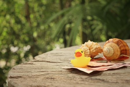 Yellow rubber duck , conch with money of Thai Bath.の写真素材