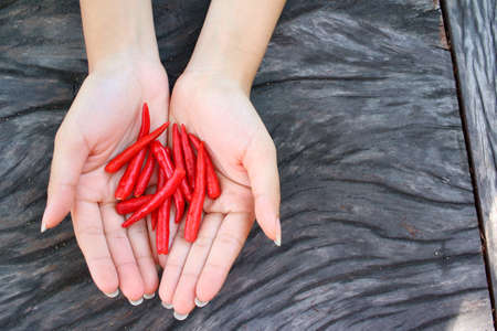 Red chili in hands on background of wood.の写真素材