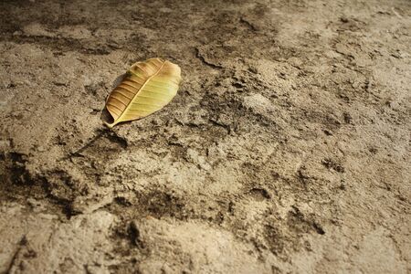 Background or texture of cement at the park.の写真素材