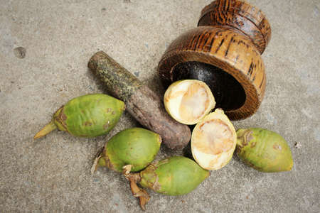 Betel palms on background of a cement.の写真素材