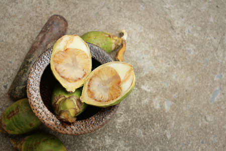 Betel palms on background of a cement.の写真素材