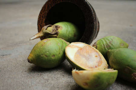 Betel palms on background of a cement.の写真素材