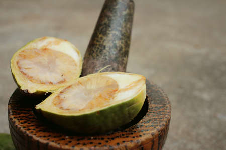 Betel palms on background of a cement.の写真素材