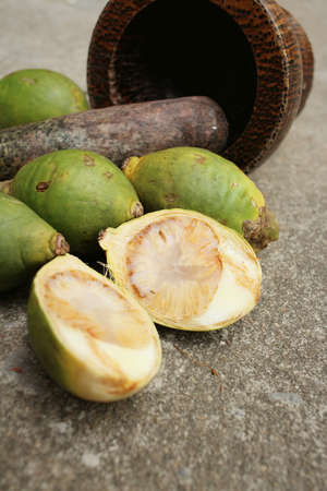 Betel palms on background of a cement.