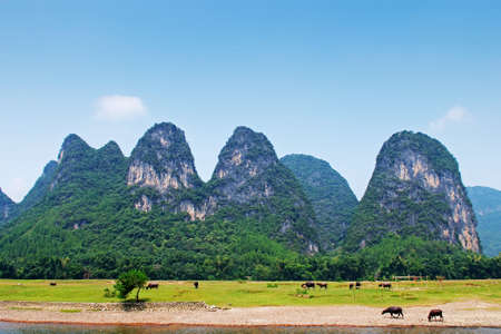 Lijiang River in Guilinの写真素材