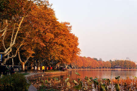 West Lake in Hangzhou during autumnの写真素材