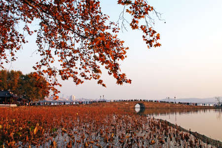 West Lake in Hangzhou during autumnの写真素材