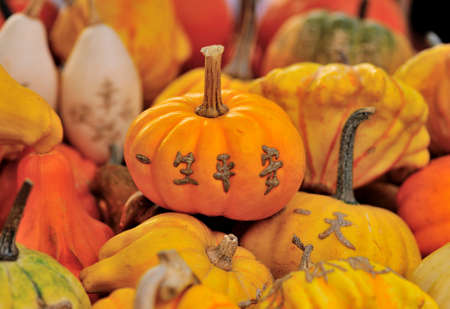 artistic pumpkinsの写真素材