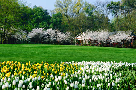 Prince of Hangzhou Bay Parkの写真素材