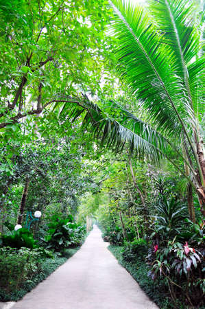 Xinglong Tropical Botanical Gardenの写真素材