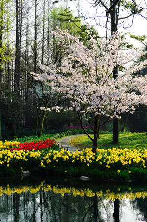 China, Hangzhou, taiziwan Parkの写真素材