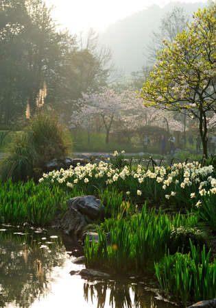 China, Hangzhou, taiziwan Parkの写真素材