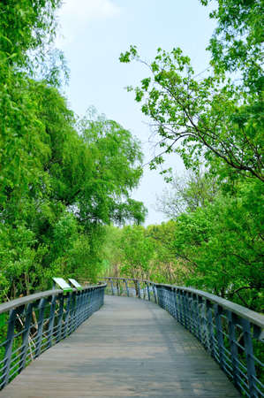Fan Yang Ecological Parkの写真素材