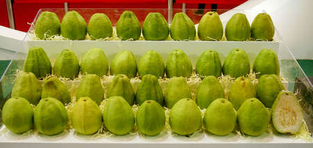 Taiwan pearl guava
