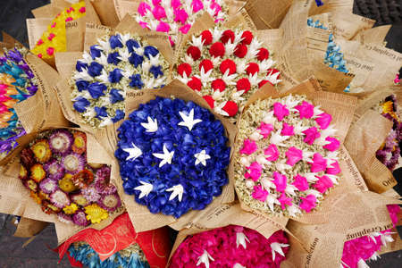 Dried flowersのeditorial素材