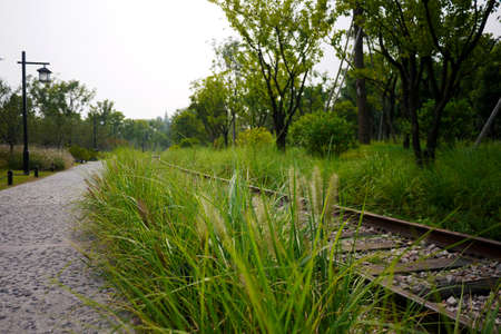 Tracksの写真素材