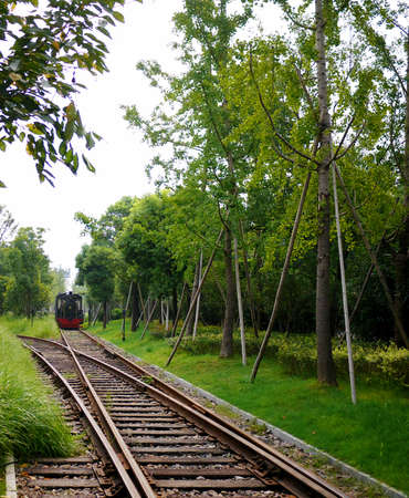 Steam train