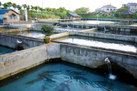 Trout farmのeditorial素材