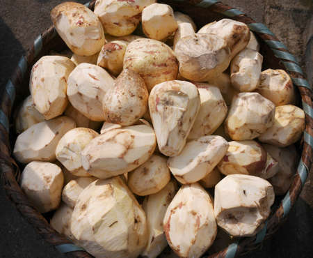 Peel sweet potatoesの写真素材