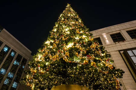 Christmas treeのeditorial素材