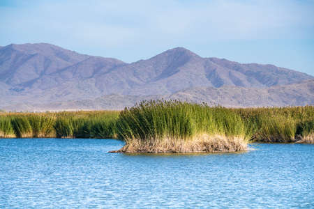 Cocoa Suri lakeの写真素材