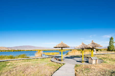 Cocoa Suri Scenic Areaの写真素材
