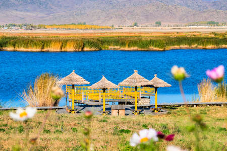 Xinjiang Cocoa Suri Scenic Areaの写真素材